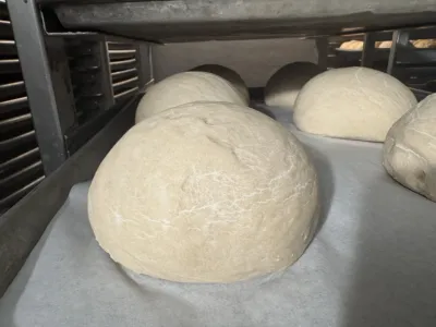 Pizza Dough